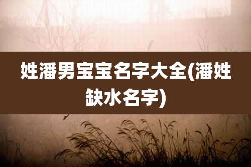 姓潘男宝宝名字大全(潘姓缺水名字)