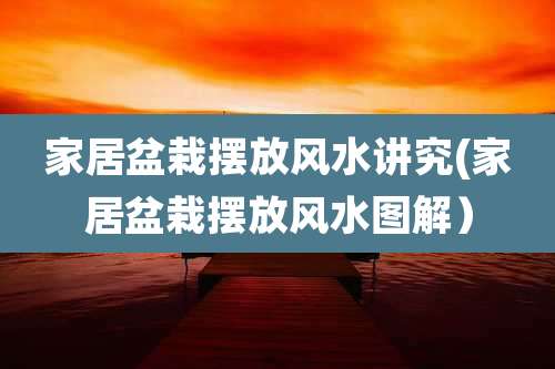 家居盆栽摆放风水讲究(家居盆栽摆放风水图解)