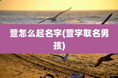 萱怎么起名字(萱字取名男孩)