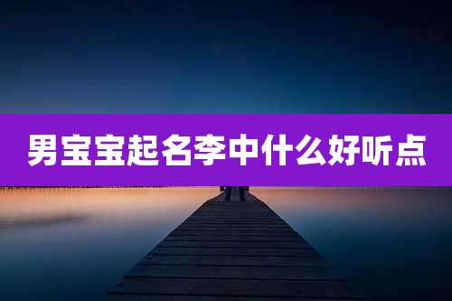 男宝宝起名李中什么好听点