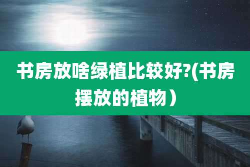 书房放啥绿植比较好?(书房摆放的植物）