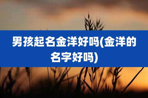 男孩起名金洋好吗(金洋的名字好吗)