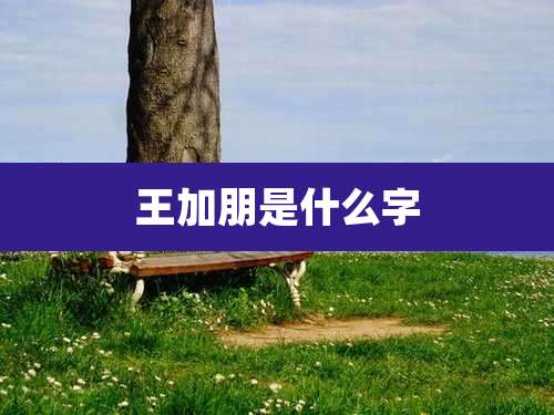 王加朋是什么字