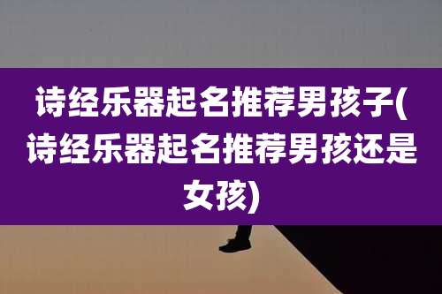 诗经乐器起名推荐男孩子(诗经乐器起名推荐男孩还是女孩)