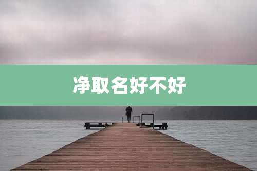 净取名好不好