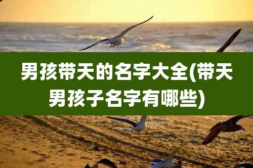 男孩带天的名字大全(带天男孩子名字有哪些)