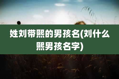 姓刘带熙的男孩名(刘什么熙男孩名字)