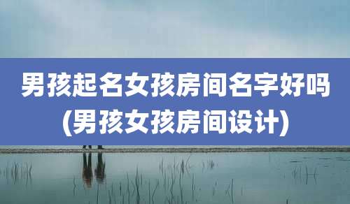 男孩起名女孩房间名字好吗(男孩女孩房间设计)