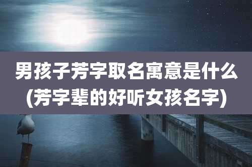 男孩子芳字取名寓意是什么(芳字辈的好听女孩名字)