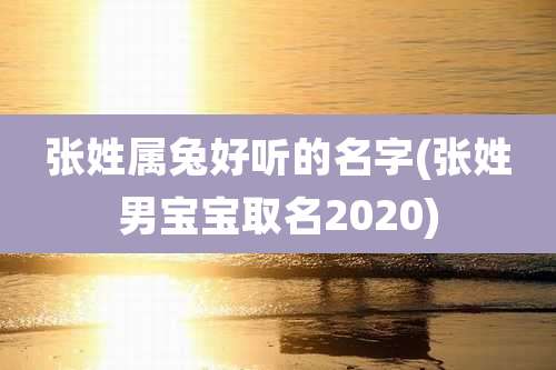 张姓属兔好听的名字(张姓男宝宝取名2020)