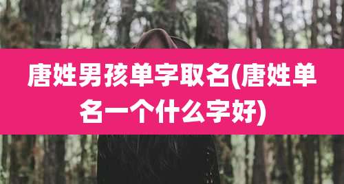 唐姓男孩单字取名(唐姓单名一个什么字好)