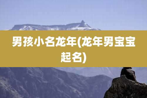 男孩小名龙年(龙年男宝宝起名)