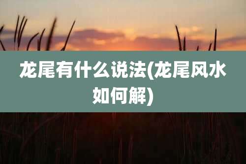 龙尾有什么说法(龙尾风水如何解)