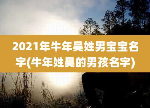 2021年牛年吴姓男宝宝名字(牛年姓吴的男孩名字)