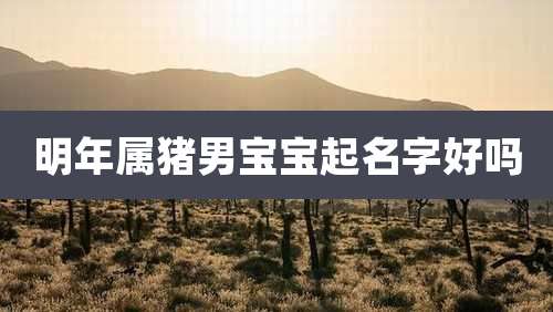 明年属猪男宝宝起名字好吗