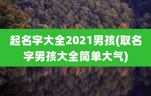 起名字大全2021男孩(取名字男孩大全简单大气)