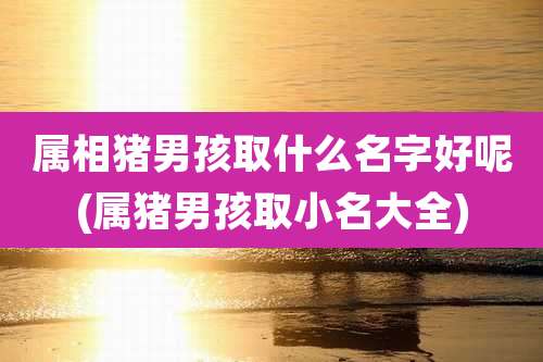 属相猪男孩取什么名字好呢(属猪男孩取小名大全)