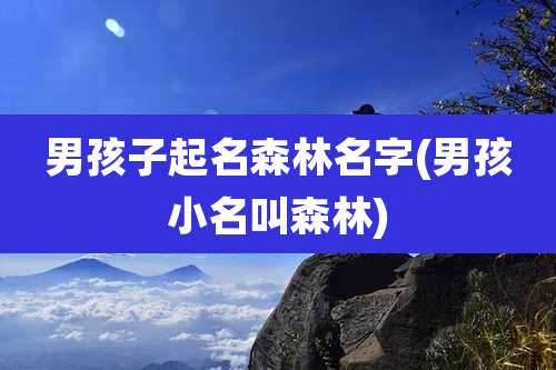 男孩子起名森林名字(男孩小名叫森林)