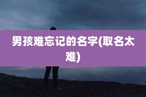 男孩难忘记的名字(取名太难)