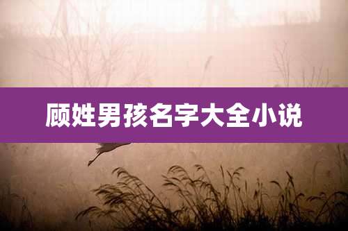 顾姓男孩名字大全小说