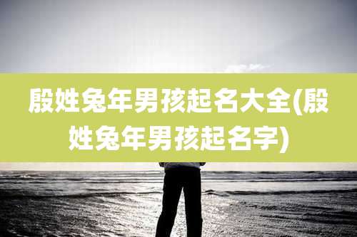 殷姓兔年男孩起名大全(殷姓兔年男孩起名字)