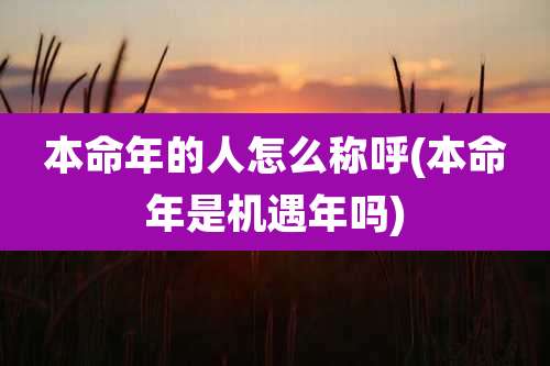 本命年的人怎么称呼(本命年是机遇年吗)