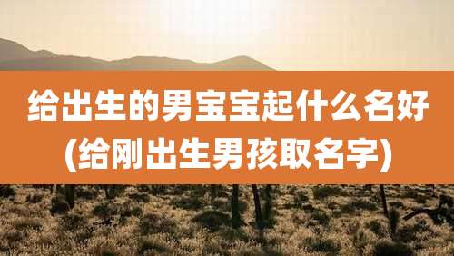 给出生的男宝宝起什么名好(给刚出生男孩取名字)