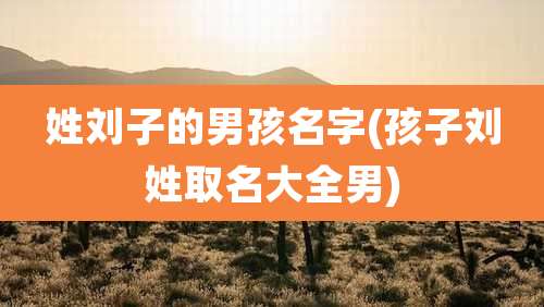 姓刘子的男孩名字(孩子刘姓取名大全男)