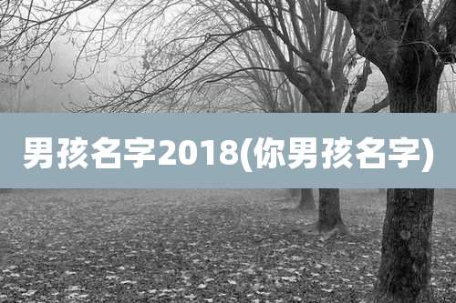 男孩名字2018(你男孩名字)