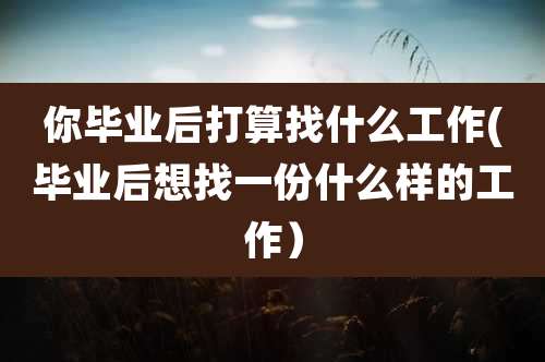 你毕业后打算找什么工作(毕业后想找一份什么样的工作）