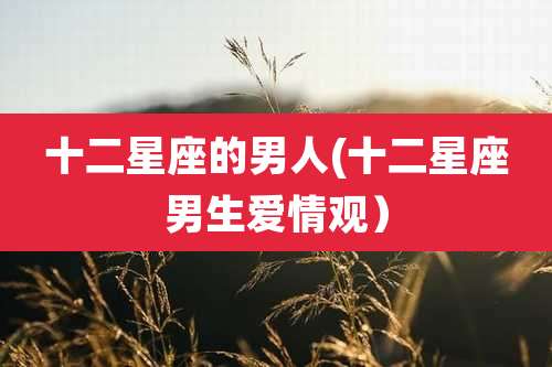 十二星座的男人(十二星座男生爱情观)