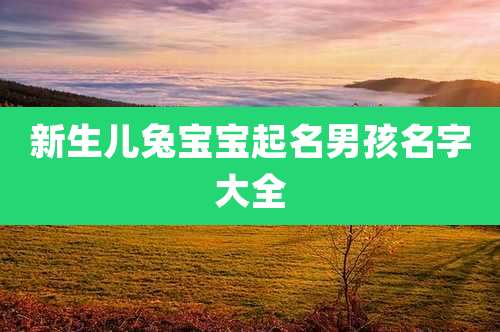 新生儿兔宝宝起名男孩名字大全