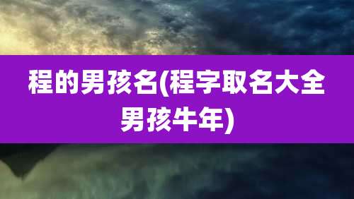 程的男孩名(程字取名大全男孩牛年)