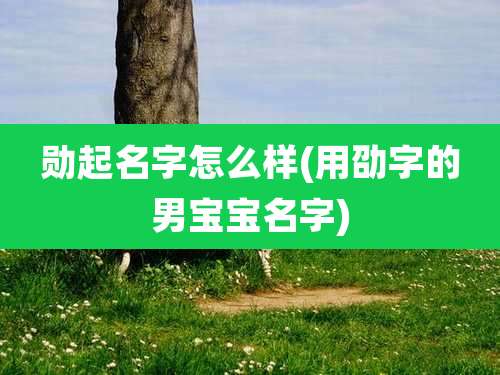 勋起名字怎么样(用劭字的男宝宝名字)