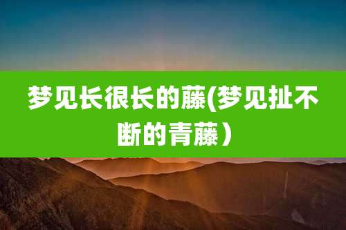 梦见长很长的藤(梦见扯不断的青藤）