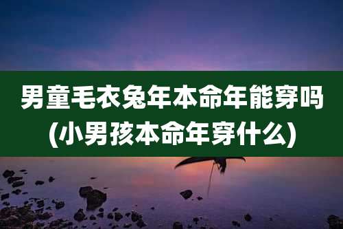 男童毛衣兔年本命年能穿吗(小男孩本命年穿什么)
