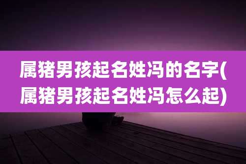 属猪男孩起名姓冯的名字(属猪男孩起名姓冯怎么起)