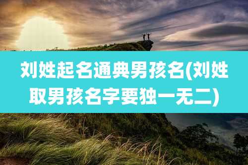 刘姓起名通典男孩名(刘姓取男孩名字要独一无二)