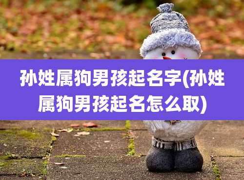 孙姓属狗男孩起名字(孙姓属狗男孩起名怎么取)