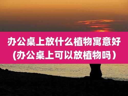 办公桌上放什么植物寓意好(办公桌上可以放植物吗)