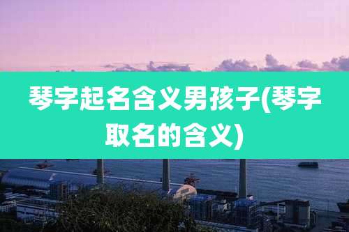 琴字起名含义男孩子(琴字取名的含义)