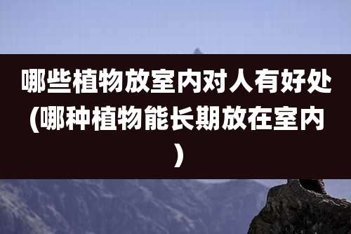 哪些植物放室内对人有好处(哪种植物能长期放在室内)