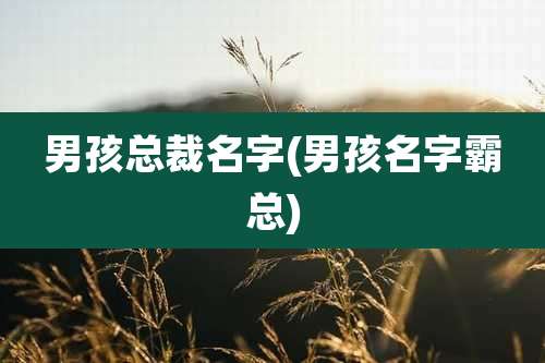 男孩总裁名字(男孩名字霸总)