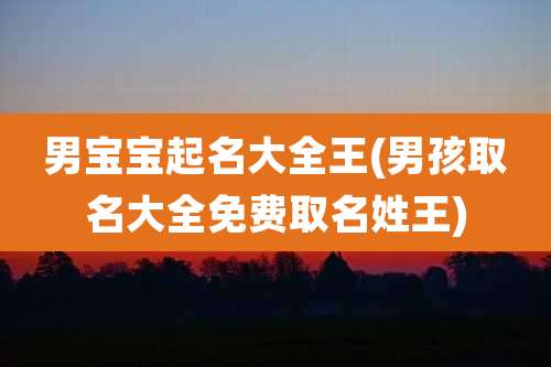 男宝宝起名大全王(男孩取名大全免费取名姓王)
