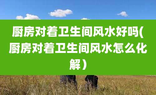 厨房对着卫生间风水好吗(厨房对着卫生间风水怎么化解)