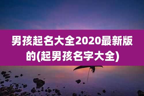 男孩起名大全2020最新版的(起男孩名字大全)