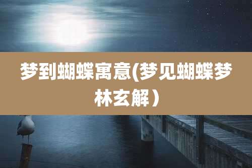 梦到蝴蝶寓意(梦见蝴蝶梦林玄解)