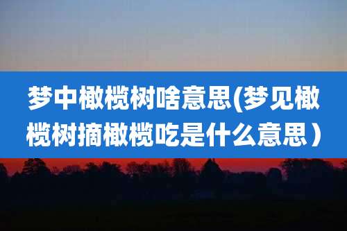 梦中橄榄树啥意思(梦见橄榄树摘橄榄吃是什么意思）