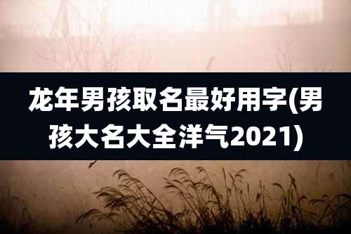 龙年男孩取名最好用字(男孩大名大全洋气2021)