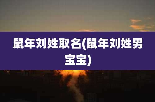 鼠年刘姓取名(鼠年刘姓男宝宝)